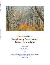 Forests and fire: strengthening prevention and management in India